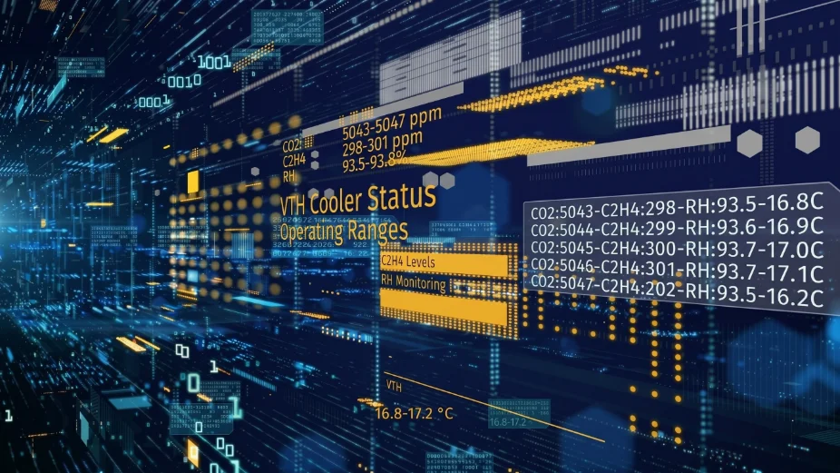 Interko digital data network